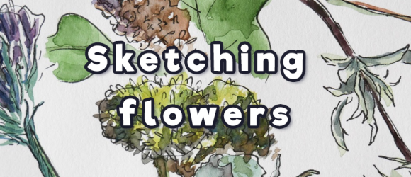 sketching flowers